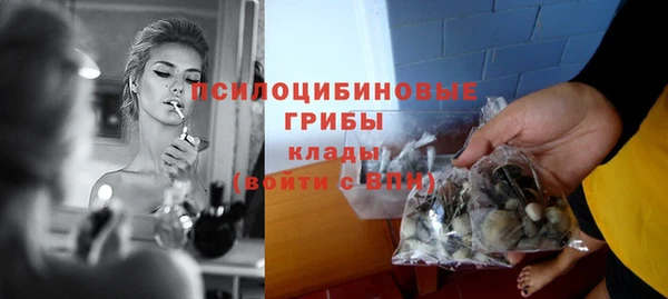 мяу мяу мука Ладушкин