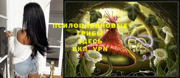 амфетамин Лабытнанги
