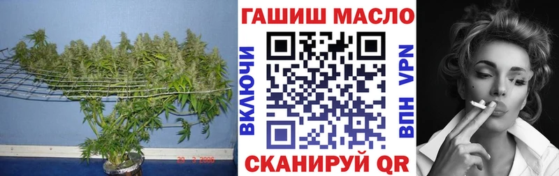 kraken сайт  Ачинск  Дистиллят ТГК THC oil  где можно купить наркотик 