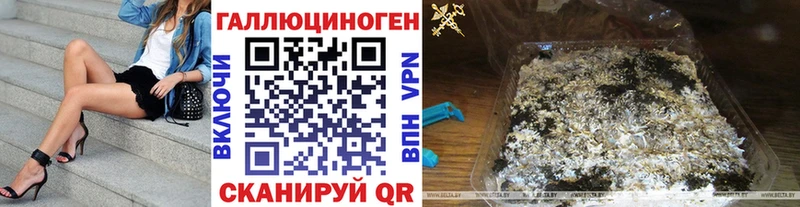 купить   Ачинск  Галлюциногенные грибы Cubensis 